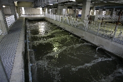 前曝気槽